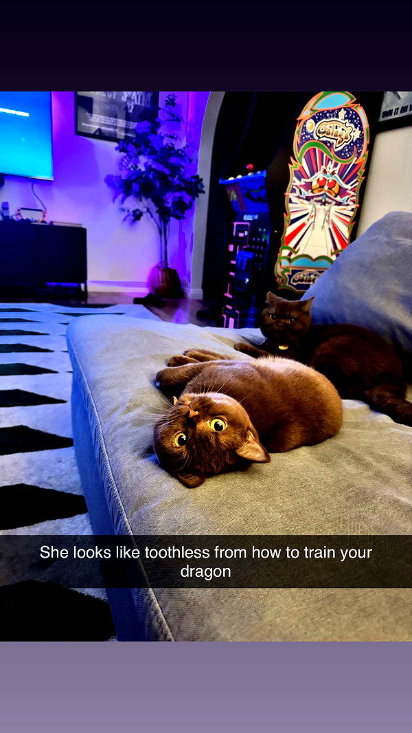 skilahblue image ~ Altpins