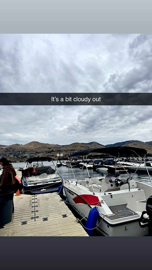 skilahblue image ~ Altpins