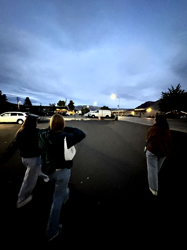 skilahblue image ~ Altpins