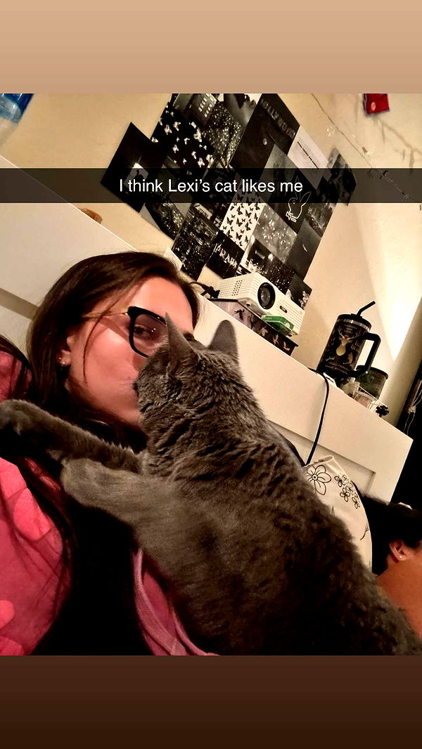 skilahblue image ~ Altpins