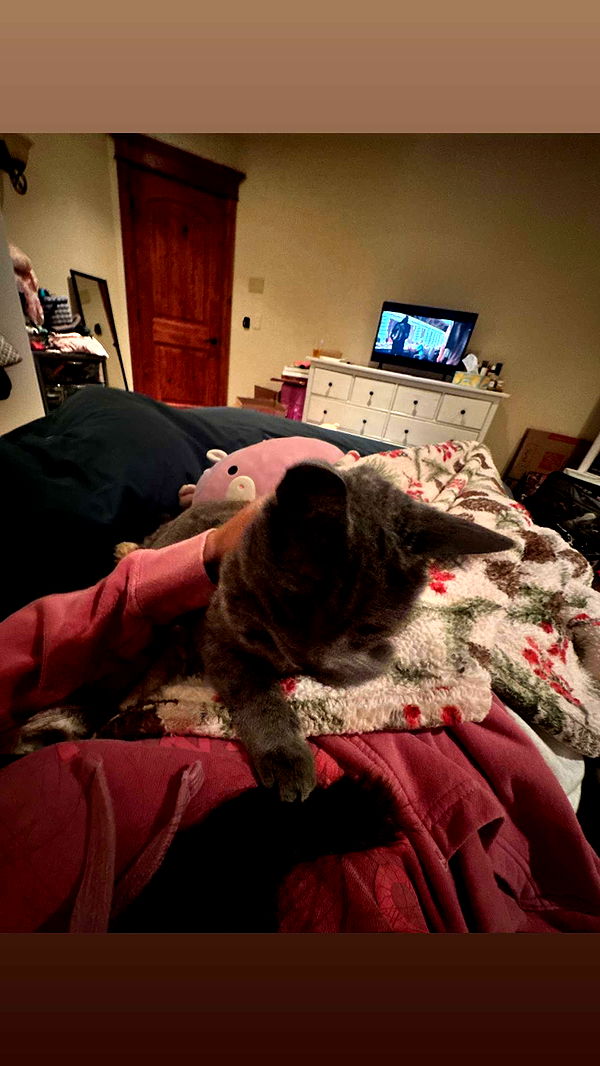 skilahblue image ~ Altpins