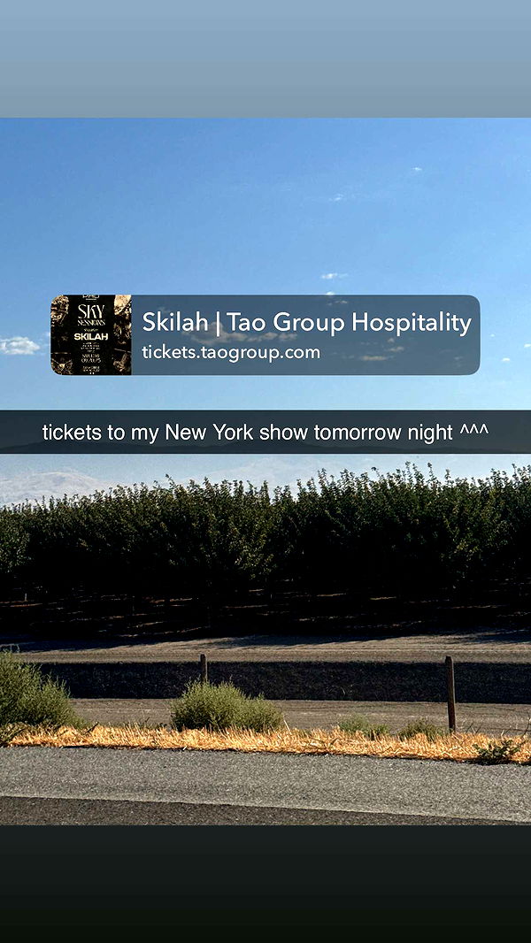 skilahblue image ~ Altpins