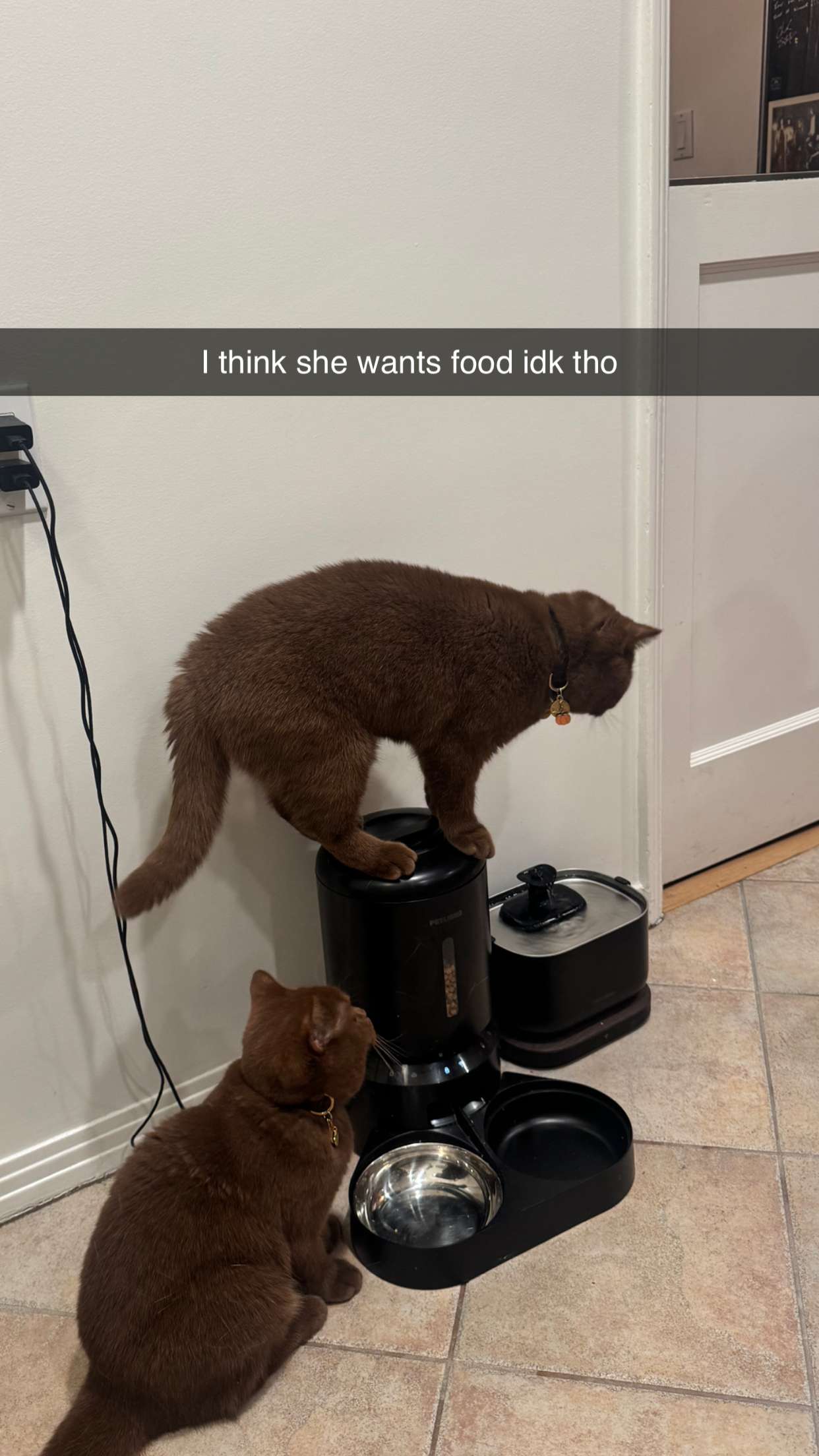 skilahblue snapchat image archive image