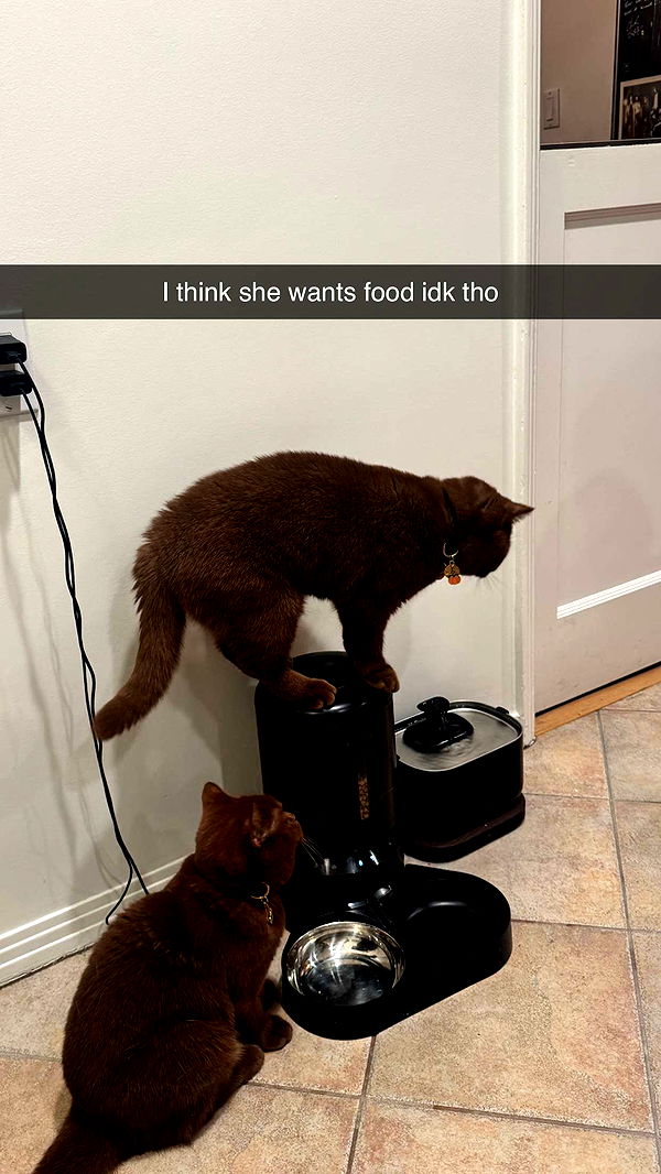 skilahblue image ~ Altpins