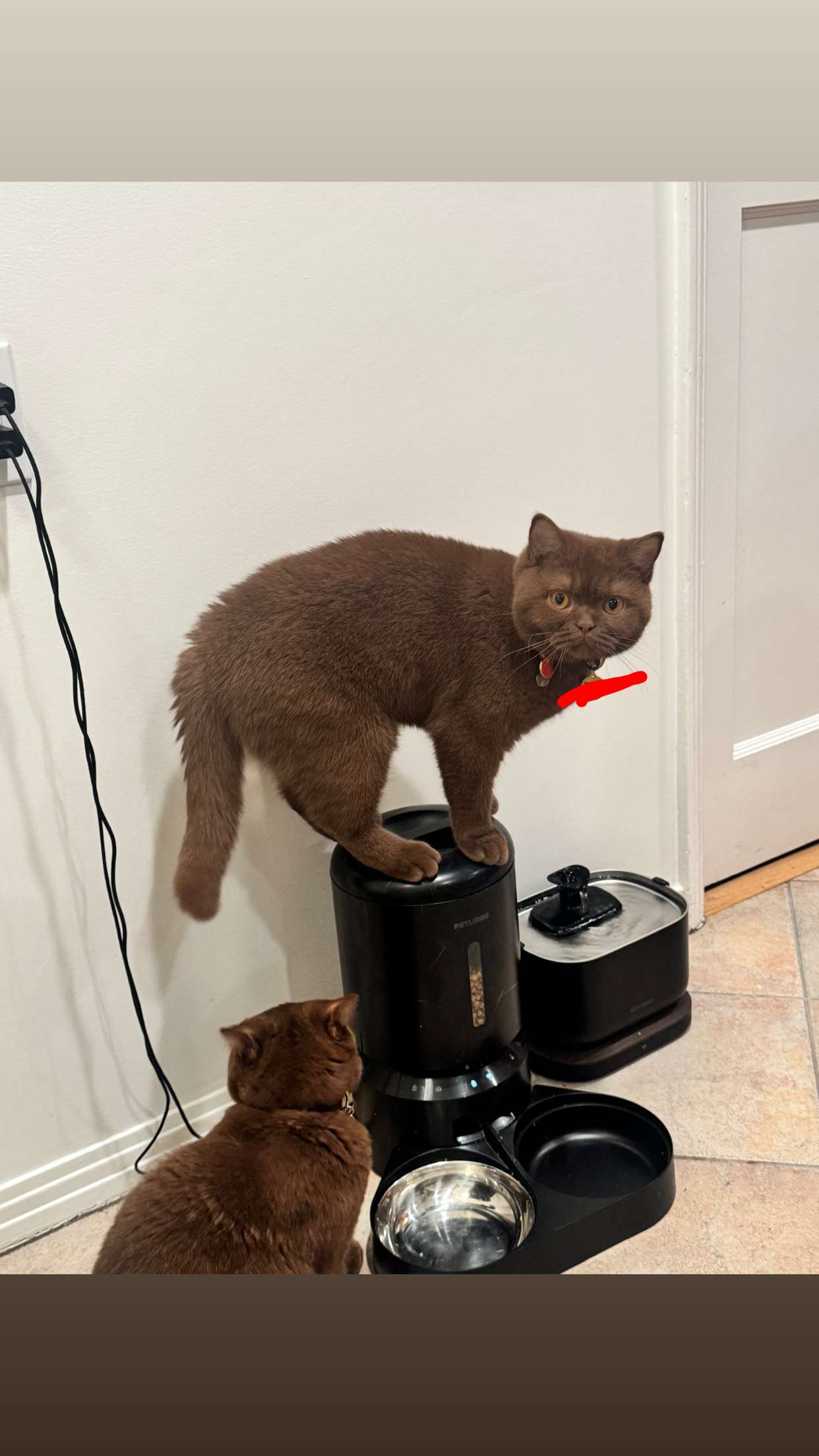 skilahblue snapchat image archive image