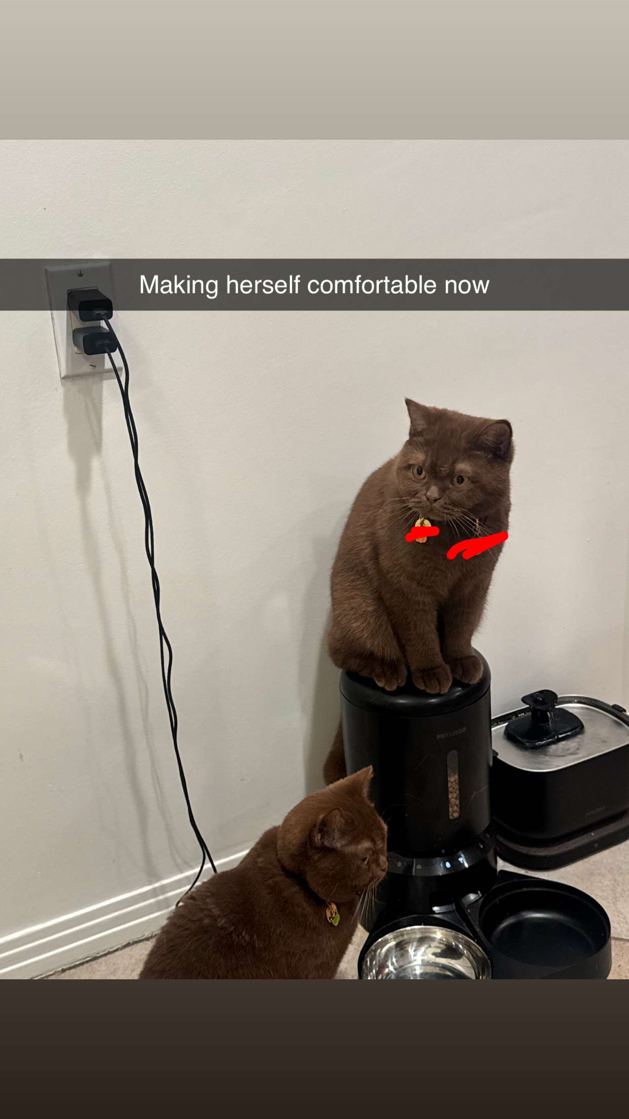 skilahblue snapchat image archive image