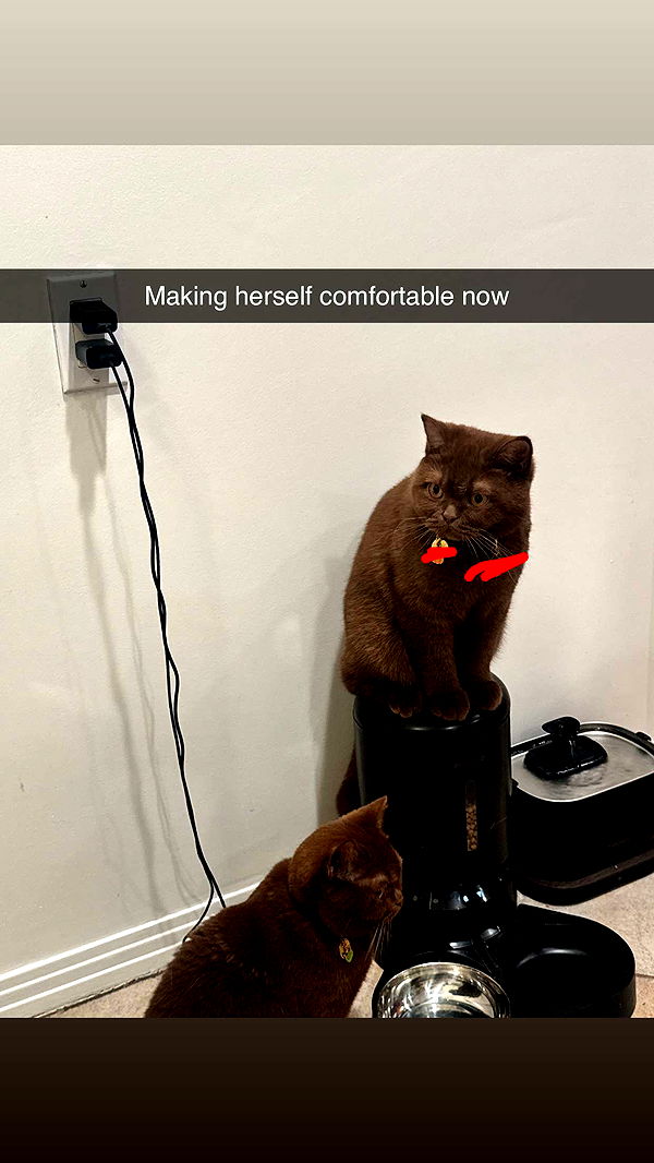 skilahblue image ~ Altpins