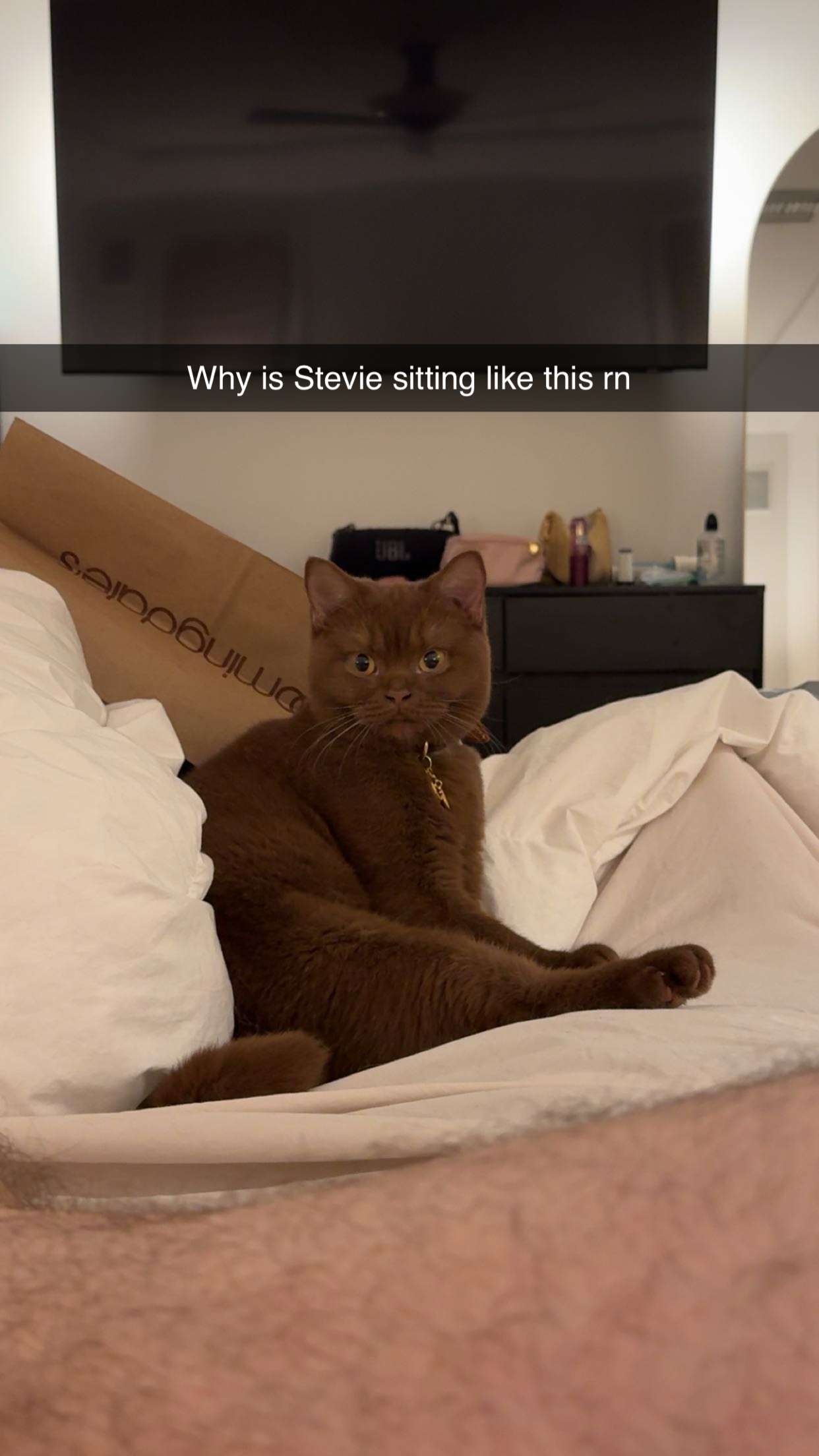 skilahblue snapchat image archive image