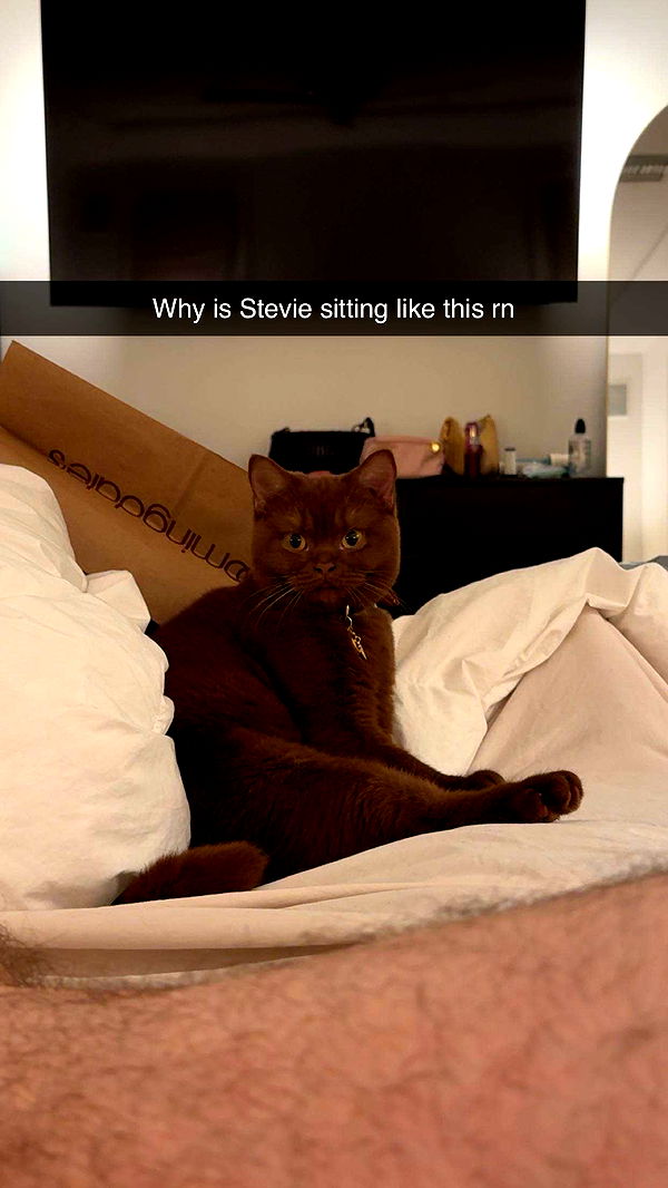 skilahblue image ~ Altpins