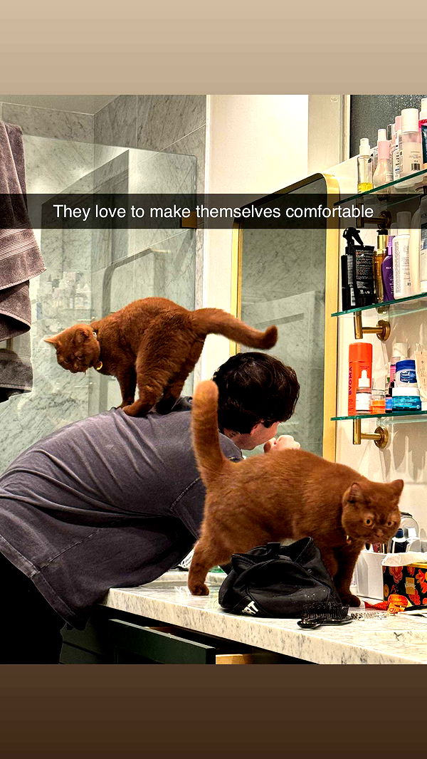 skilahblue image ~ Altpins