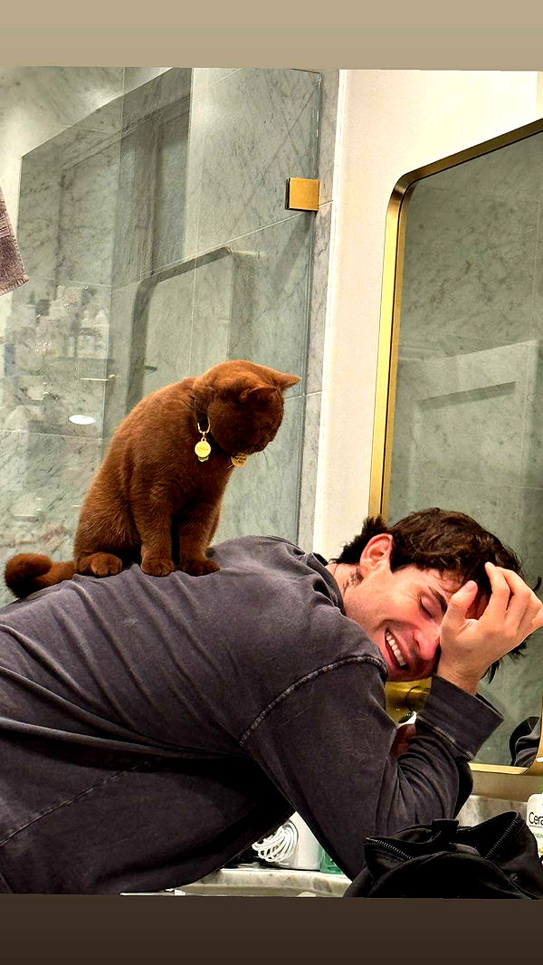 skilahblue image ~ Altpins