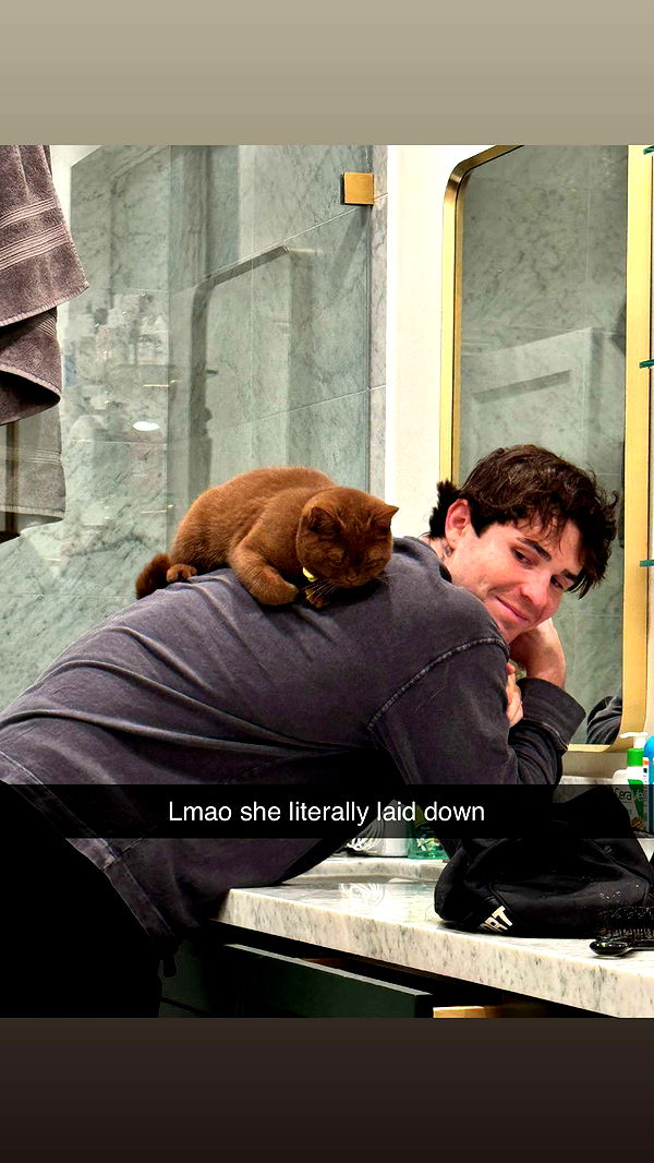 skilahblue image ~ Altpins