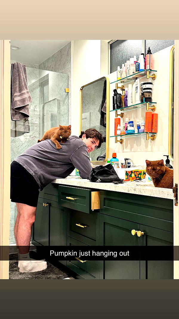 skilahblue image ~ Altpins