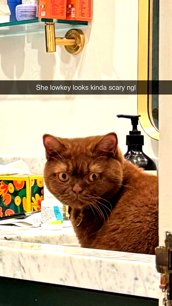 skilahblue image ~ Altpins