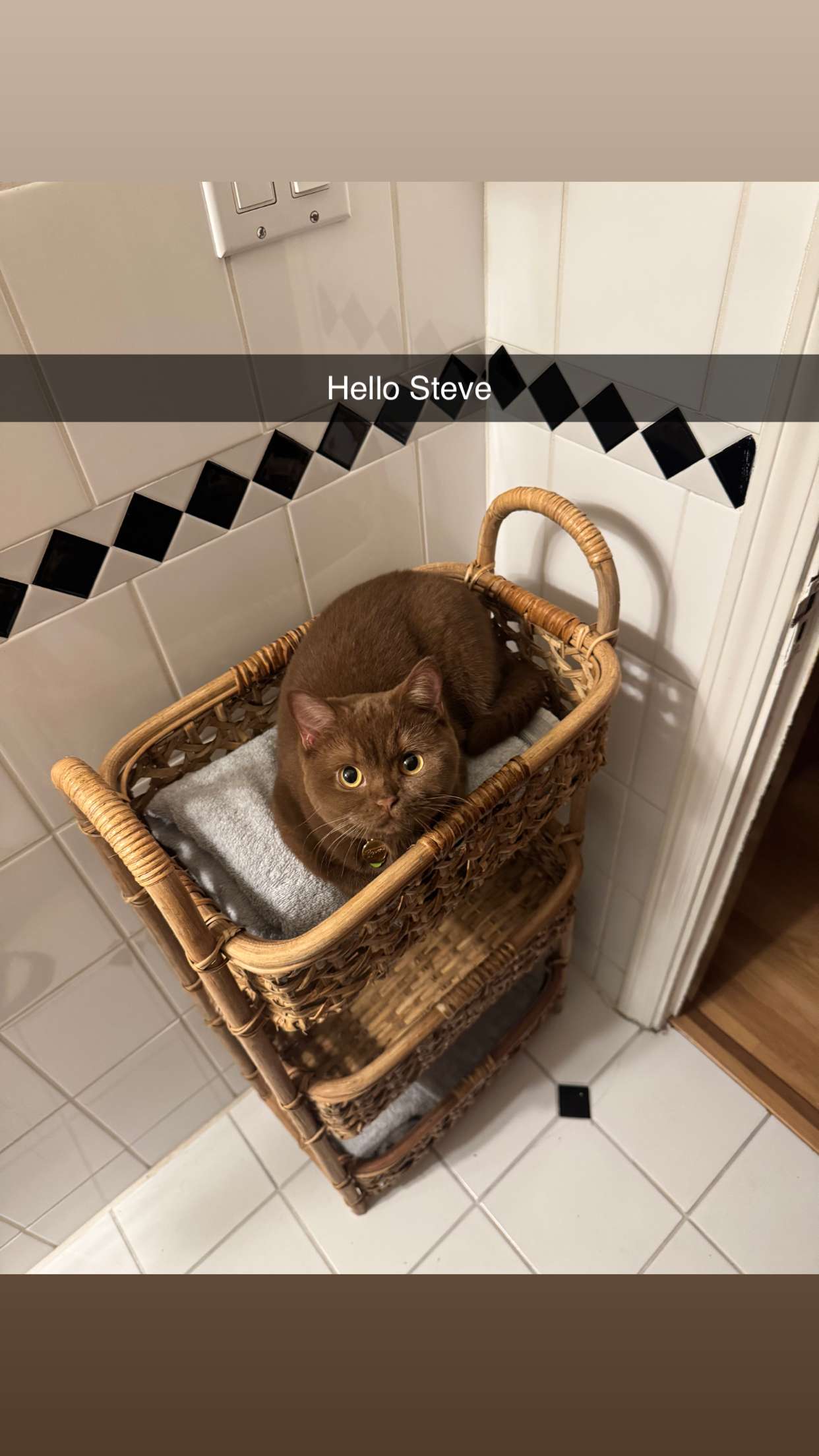 skilahblue snapchat image archive image