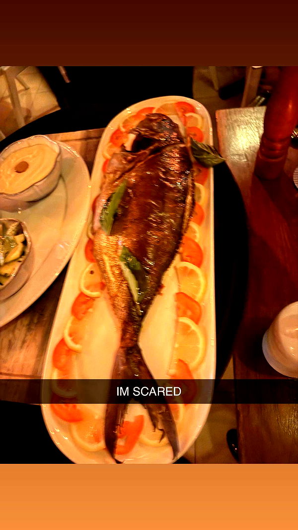 skilahblue image ~ Altpins