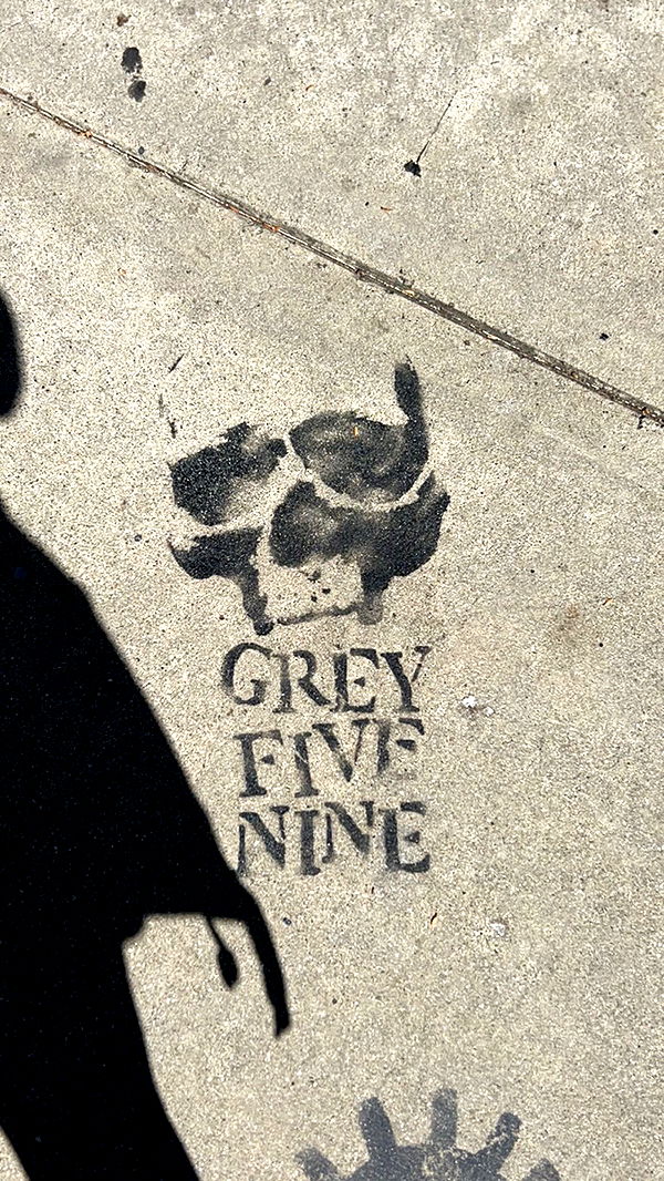 skilahblue image ~ Altpins