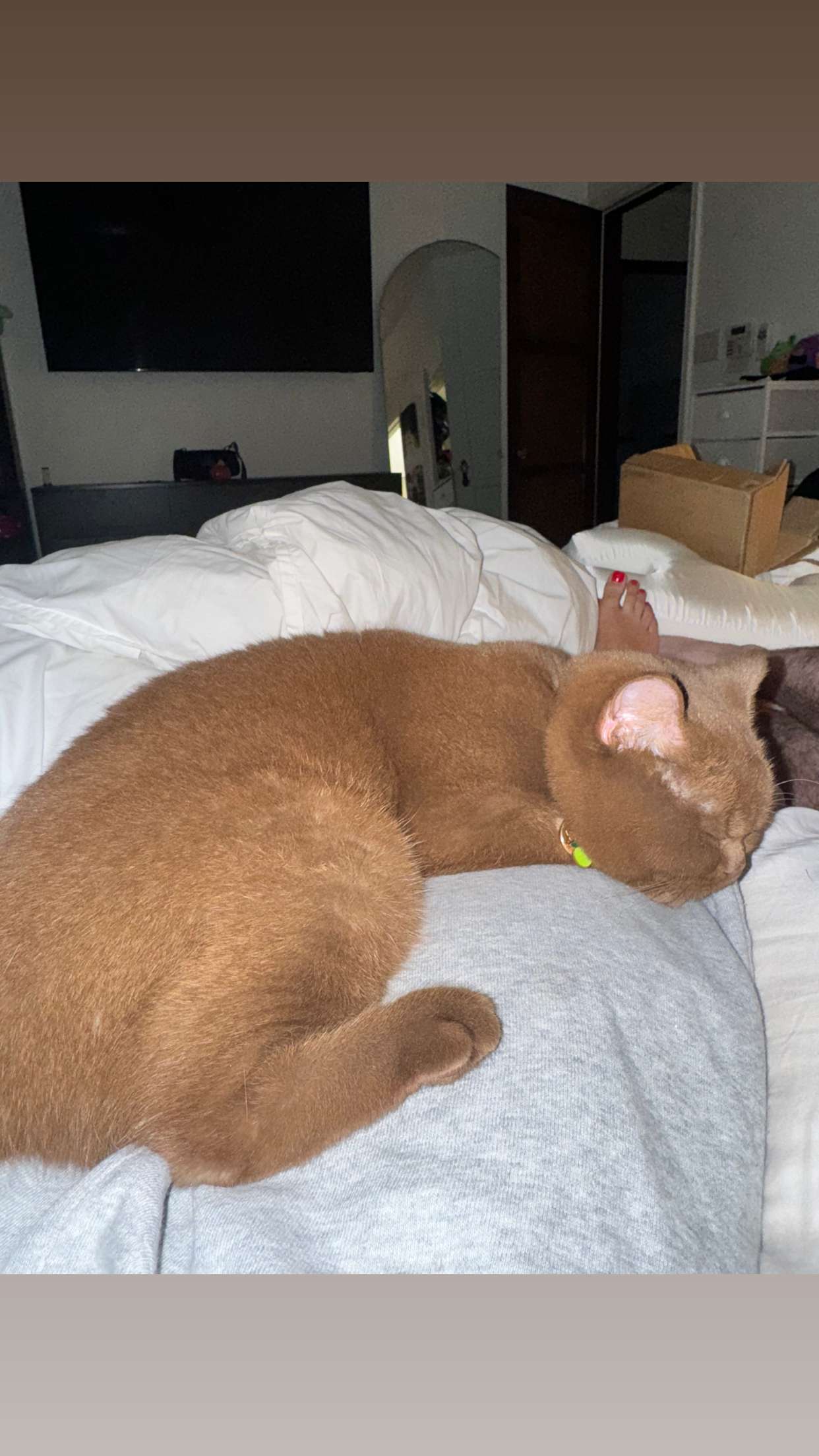 skilahblue snapchat image archive image