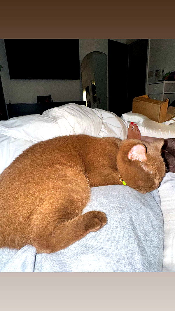 skilahblue image ~ Altpins