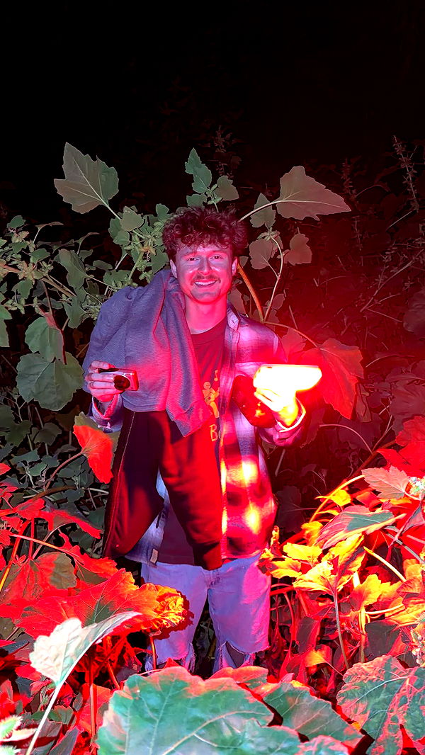 skilahblue image ~ Altpins