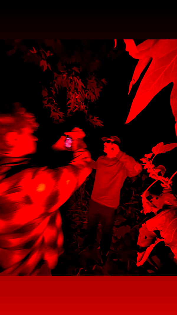 skilahblue image ~ Altpins