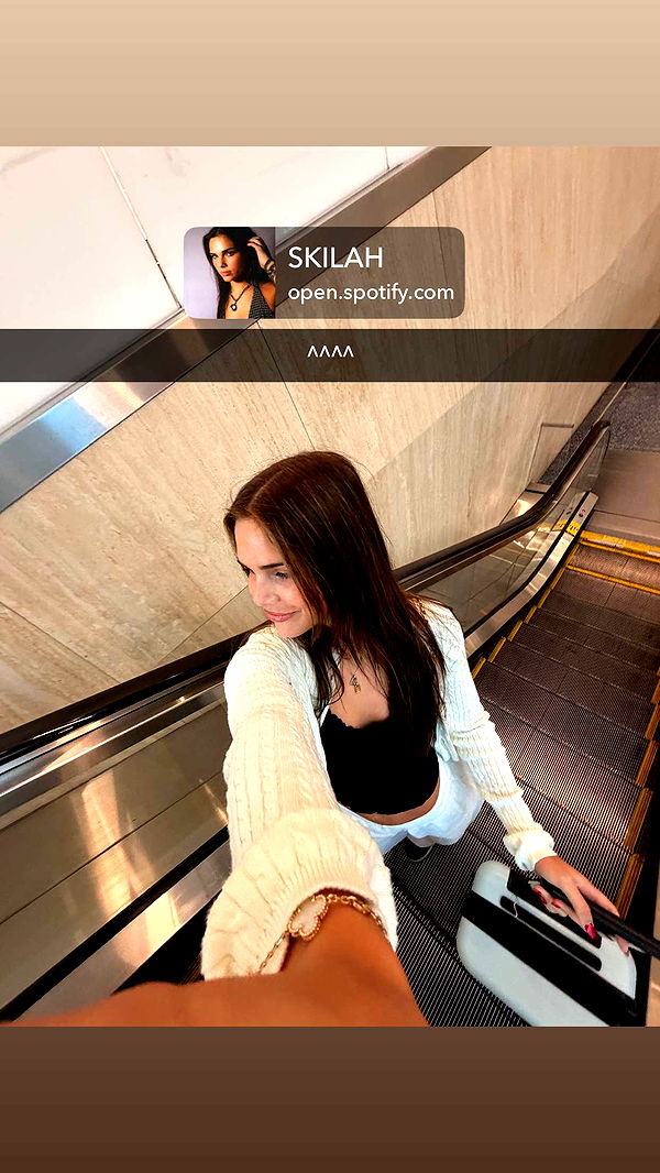 skilahblue image ~ Altpins