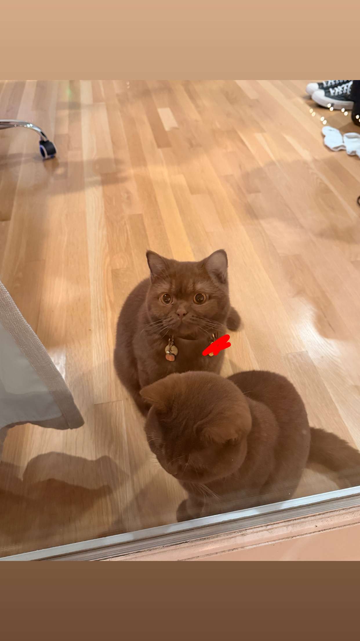 skilahblue snapchat image archive image