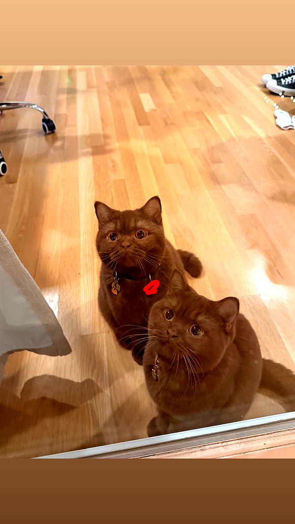 skilahblue image ~ Altpins