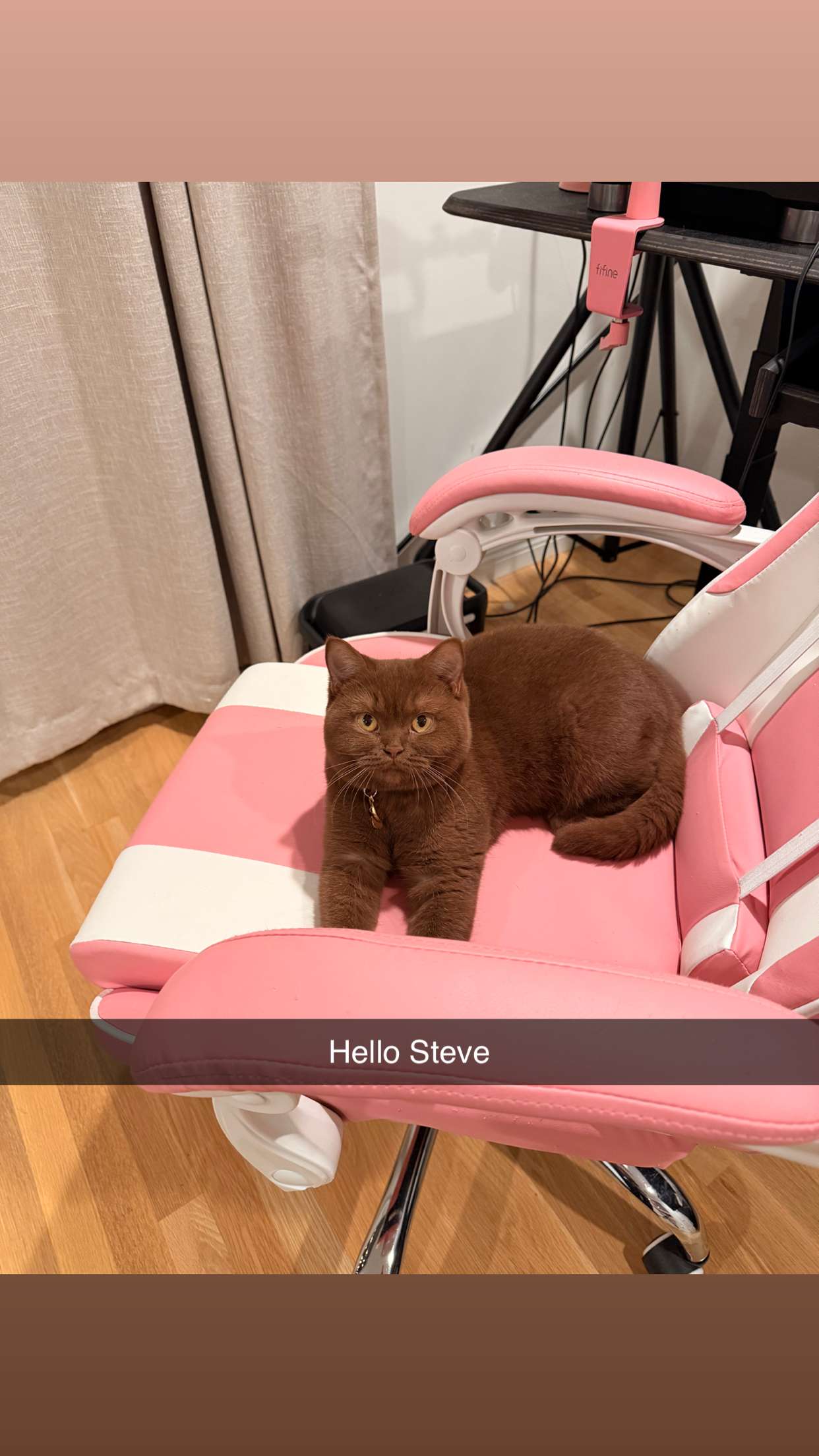 skilahblue snapchat image archive image