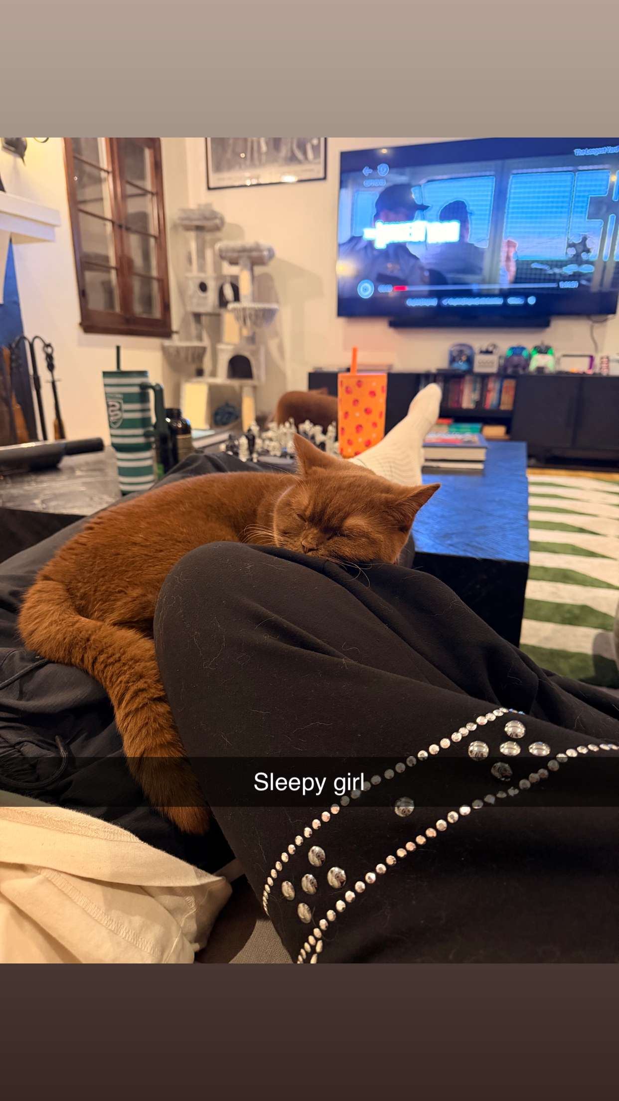 skilahblue snapchat image archive image