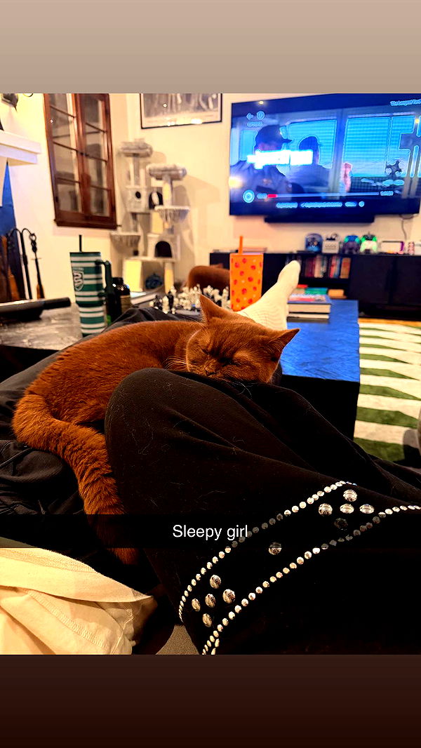 skilahblue image ~ Altpins