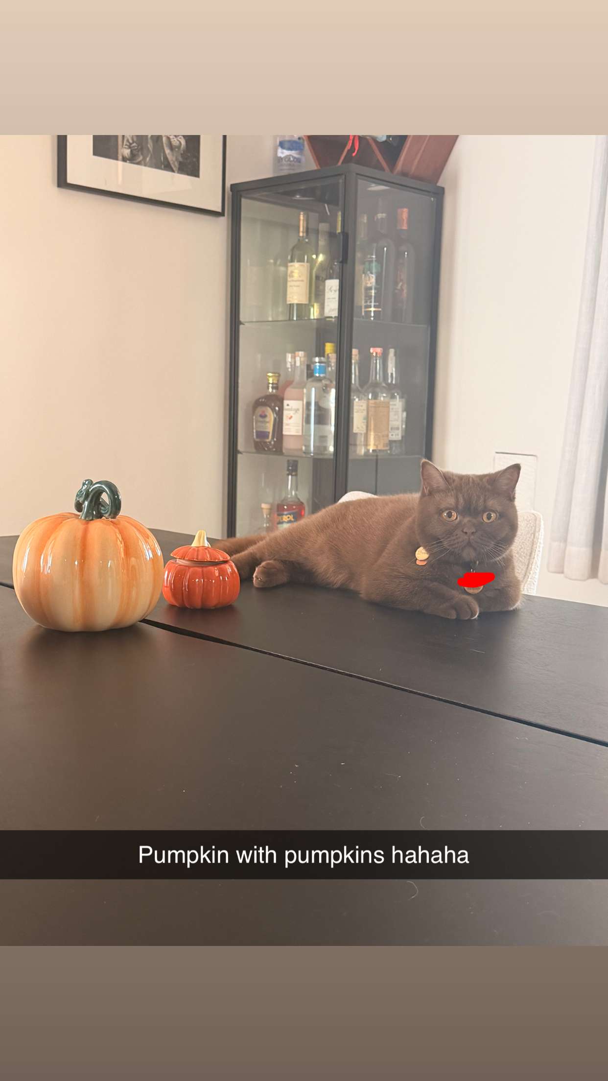 skilahblue snapchat image archive image