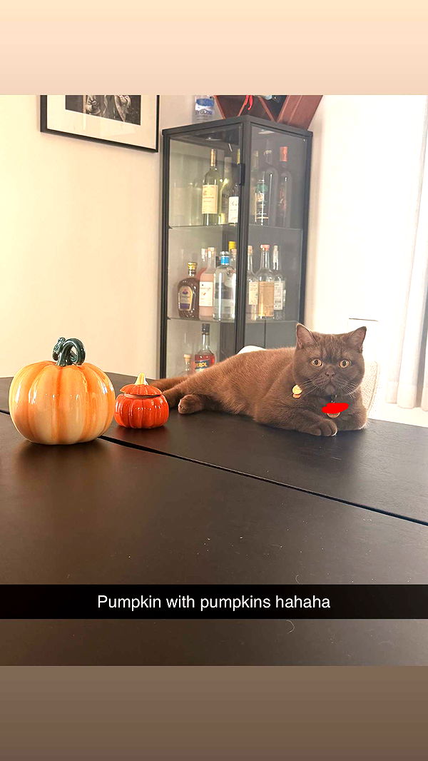 skilahblue image ~ Altpins