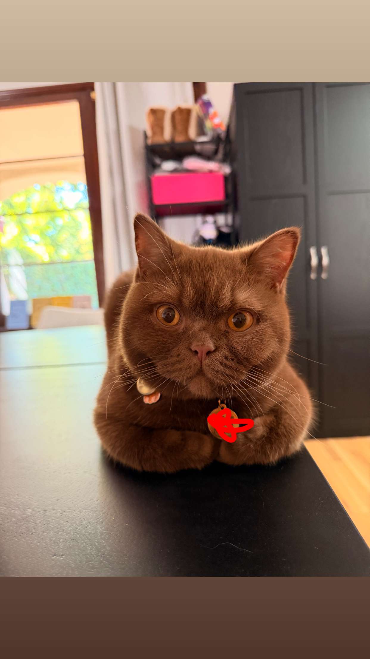 skilahblue snapchat image archive image