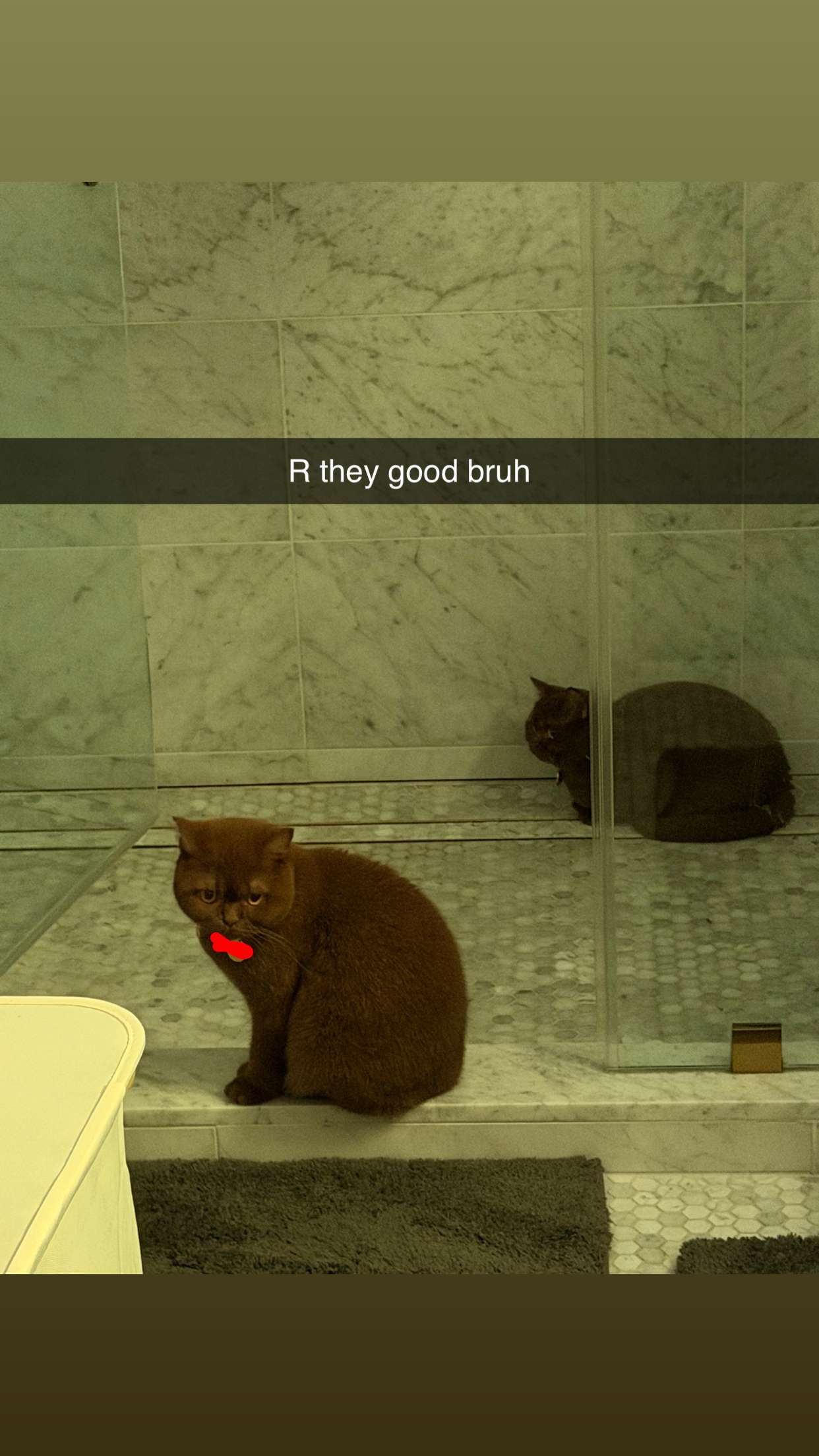 skilahblue snapchat image archive image