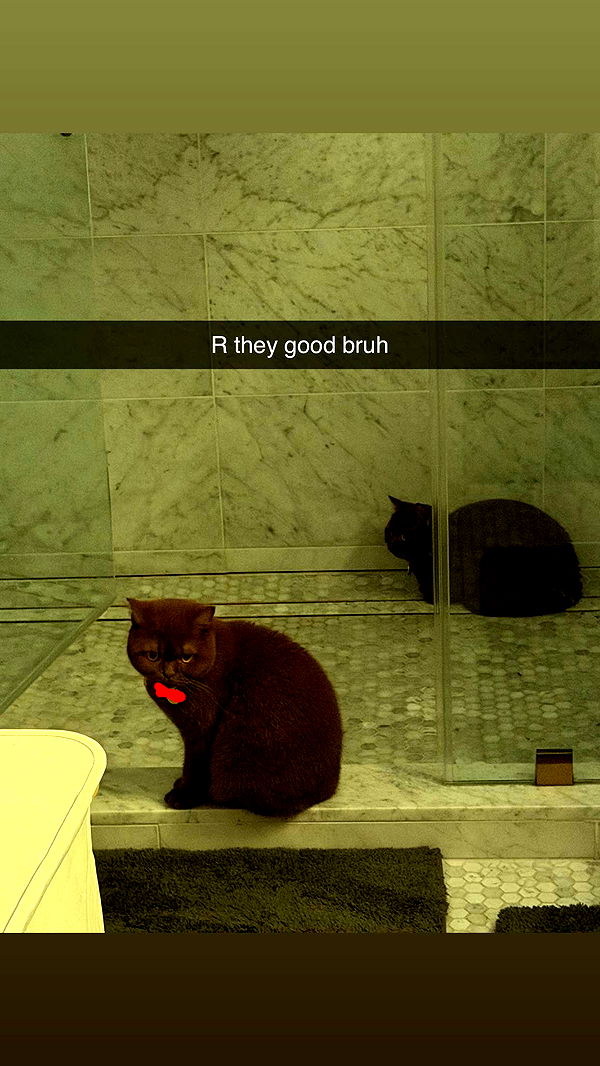 skilahblue image ~ Altpins