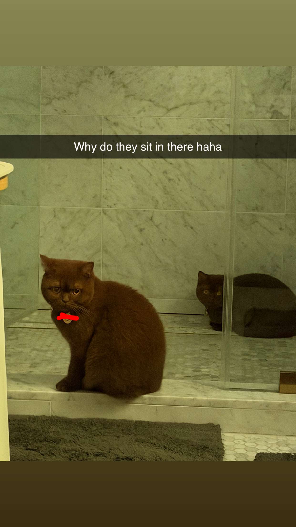 skilahblue snapchat image archive image