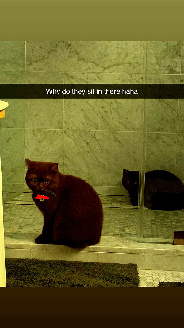 skilahblue image ~ Altpins