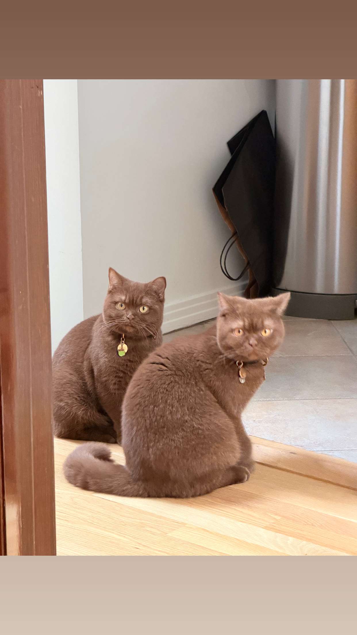 skilahblue snapchat image archive image