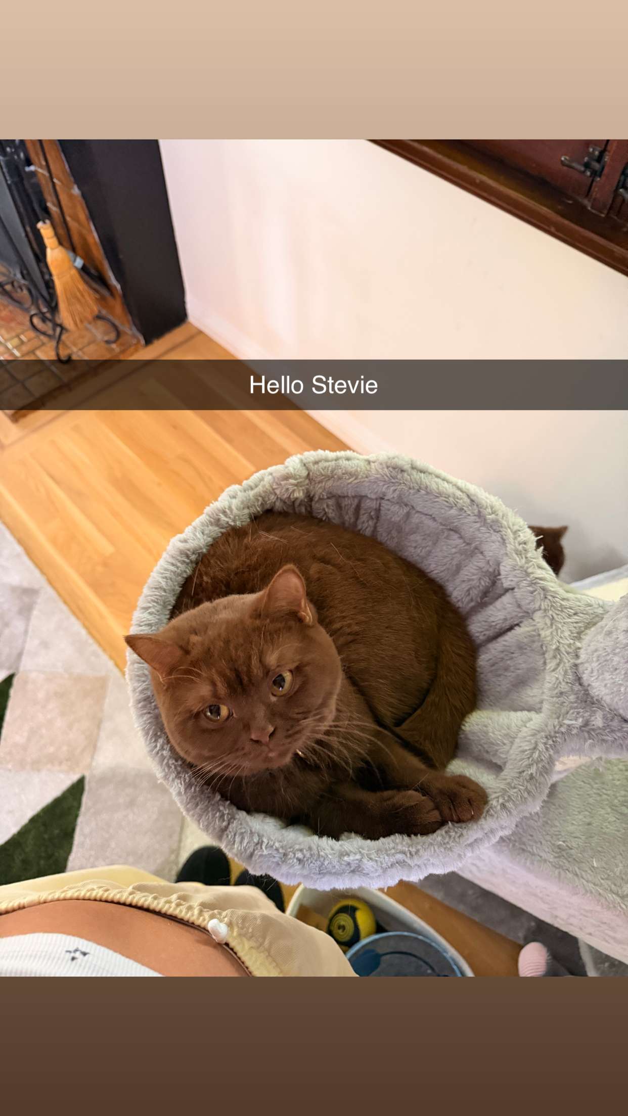 skilahblue snapchat image archive image