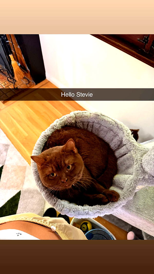 skilahblue image ~ Altpins