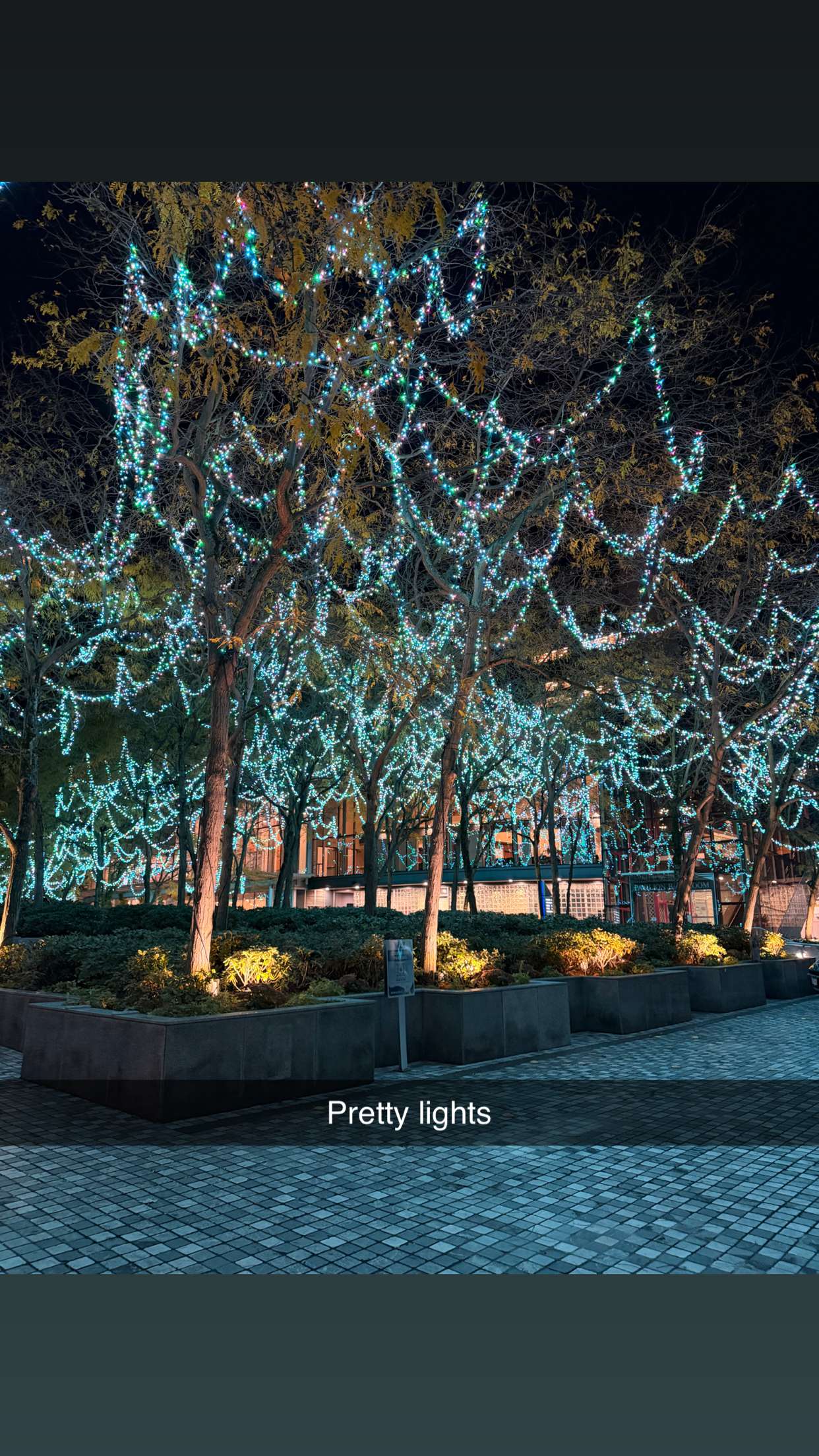 skilahblue snapchat image archive image