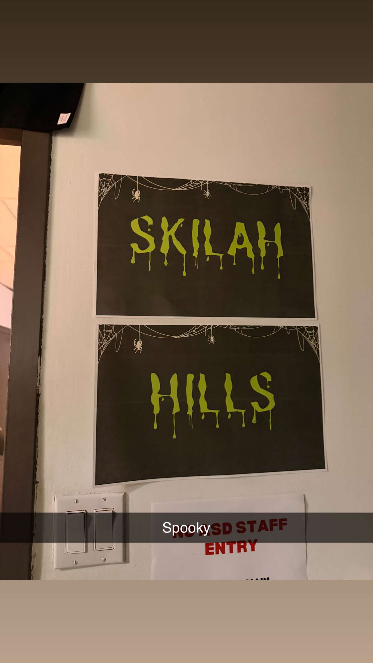 skilahblue snapchat image archive image