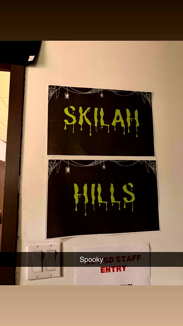 skilahblue image ~ Altpins