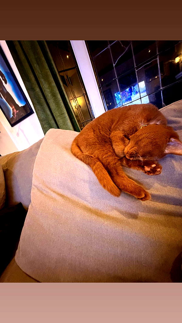 skilahblue image ~ Altpins