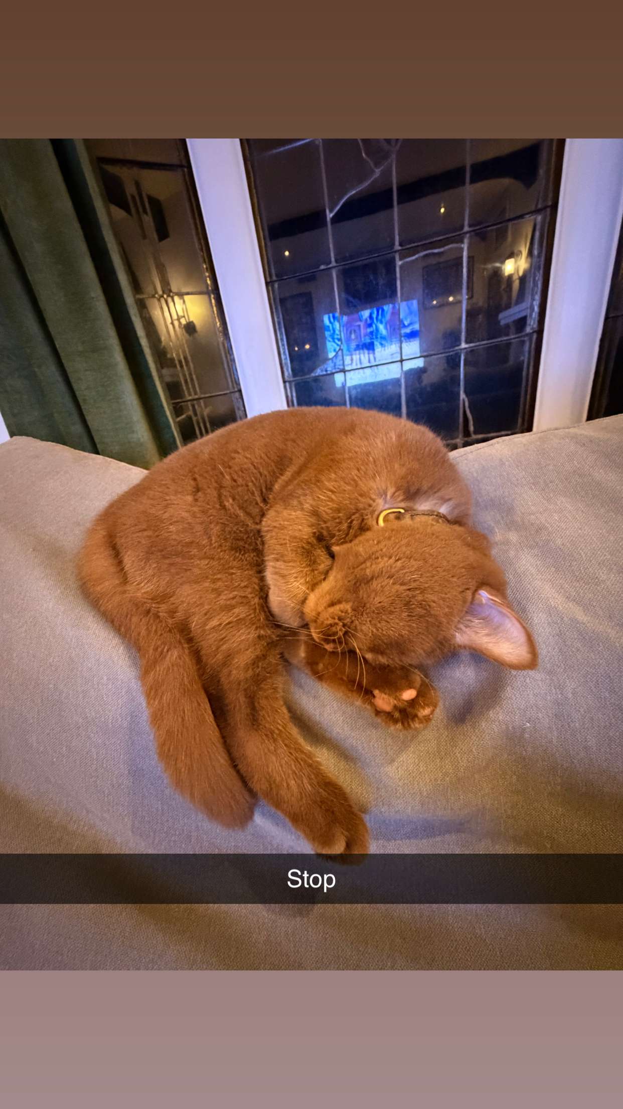 skilahblue snapchat image archive image