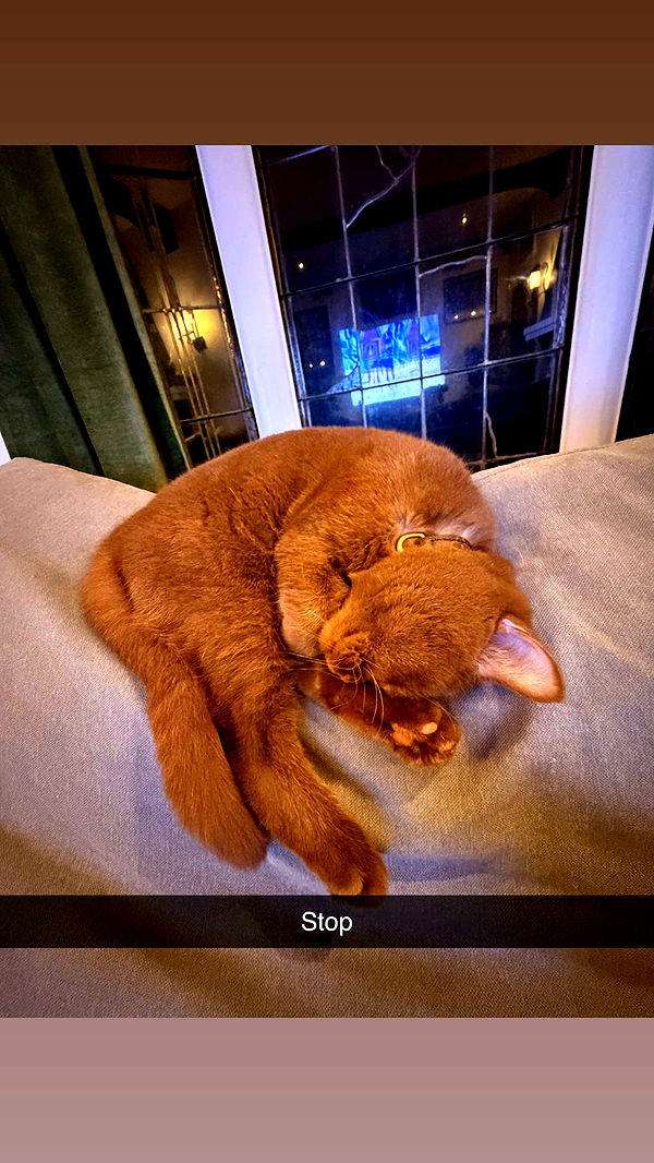 skilahblue image ~ Altpins