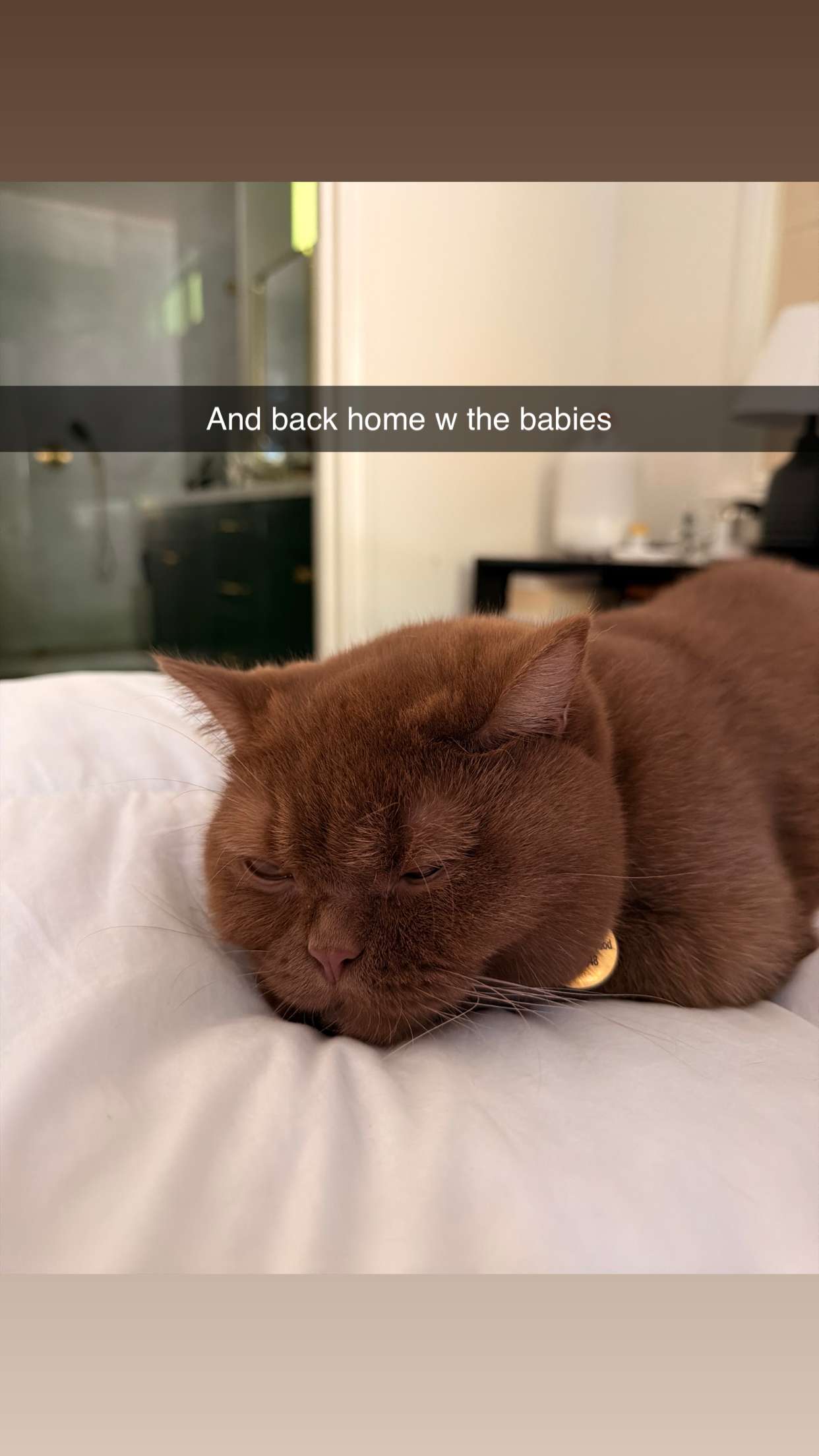 skilahblue snapchat image archive image