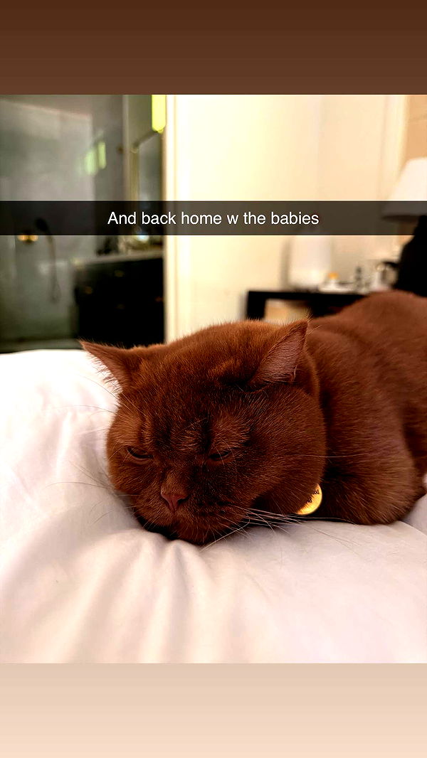 skilahblue image ~ Altpins