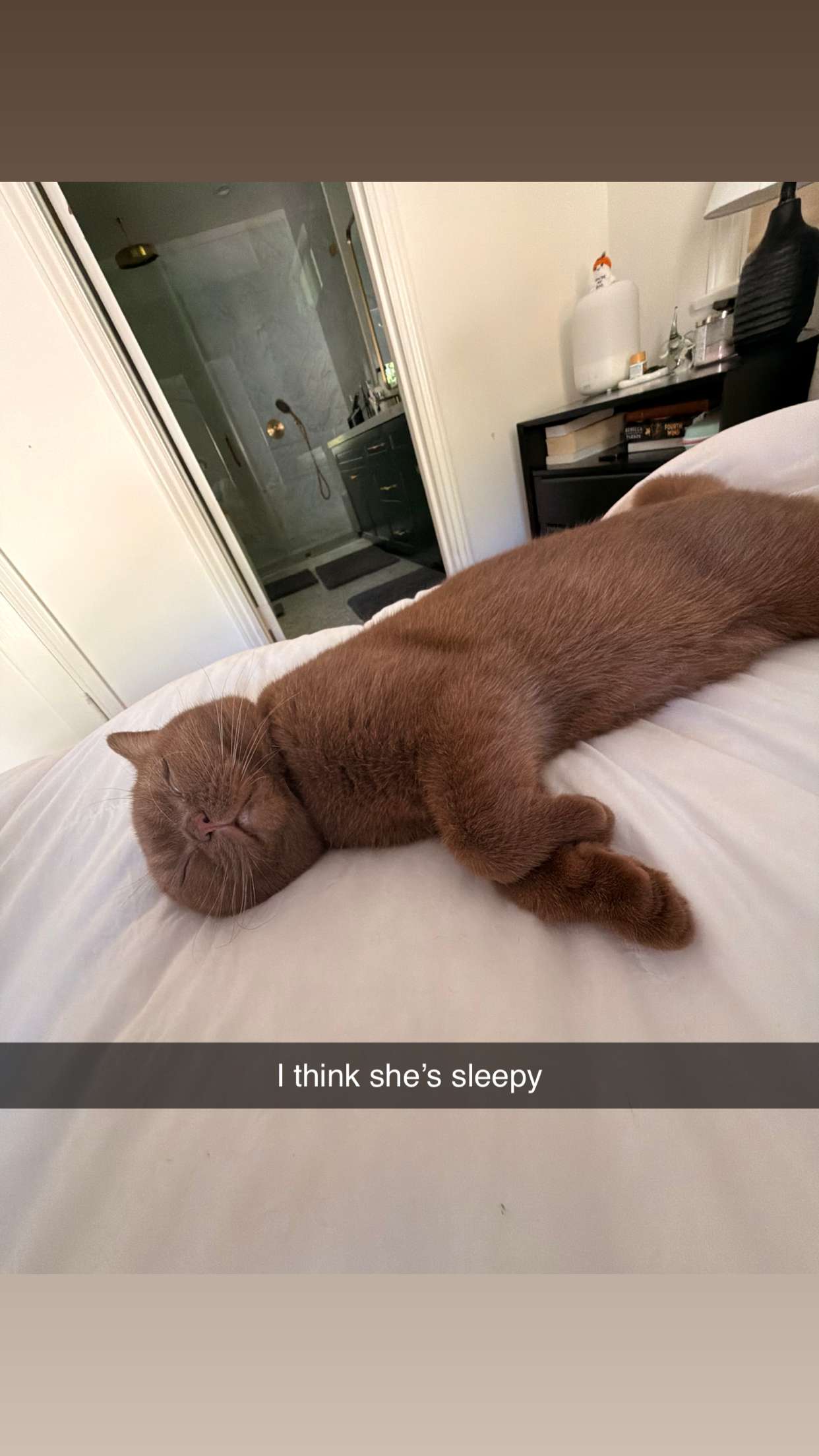 skilahblue snapchat image archive image